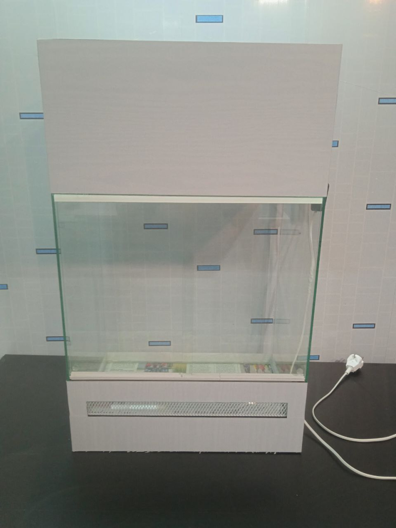 Террариум - лягушатник