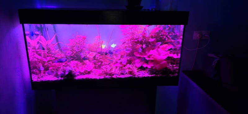 Аквариумная крышка из пластика Аквариумная крышка из пластика