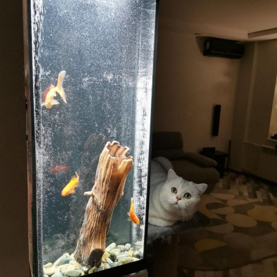 Аквариум, результат, фото заказчиков - AquaMarine