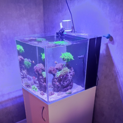 Аквариум под заказ, результат, фото заказчиков - AquaMarine