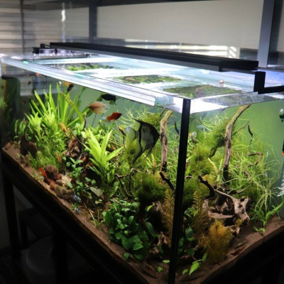 Аквариум, результат, фото заказчиков - AquaMarine