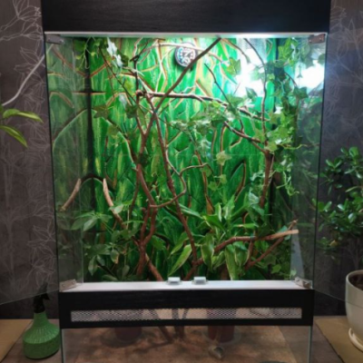 Террариум для хамелеона - AquaMarine